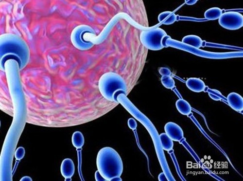 手机辐射对死精症的影响