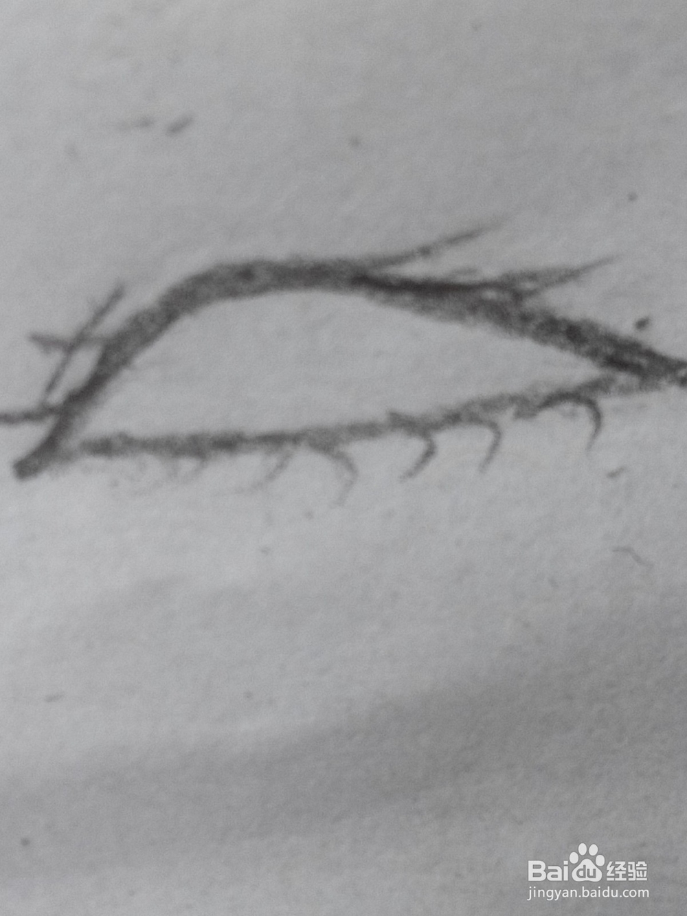 原创动漫人物的眼睛36