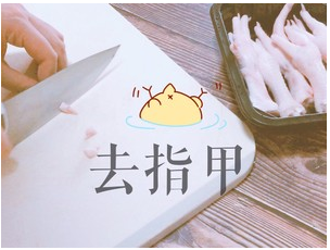 吃到停不下来的网红柠檬鸡爪