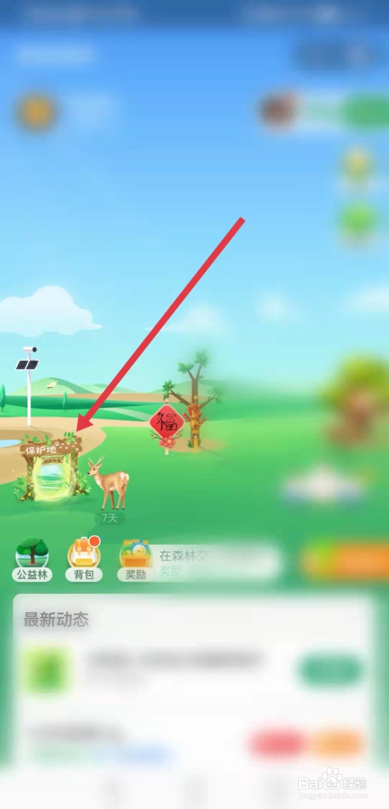 豹子的粪便怎么分辨蚂蚁森林