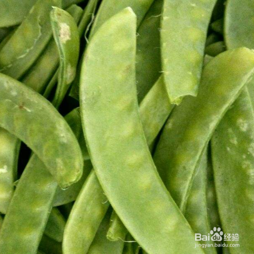 荷兰豆如何判断生熟