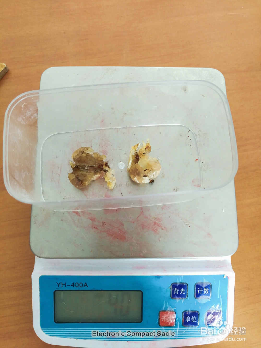 简单好吃的雪蛤