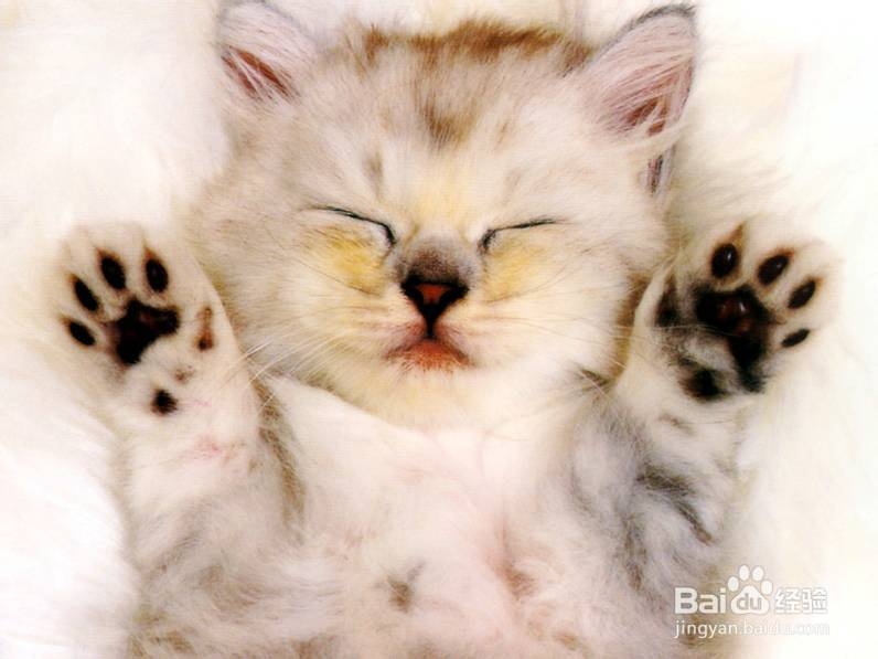 成功的36式：[3]之3剩余篇