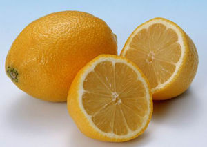 怎样避免猫咪抓沙发