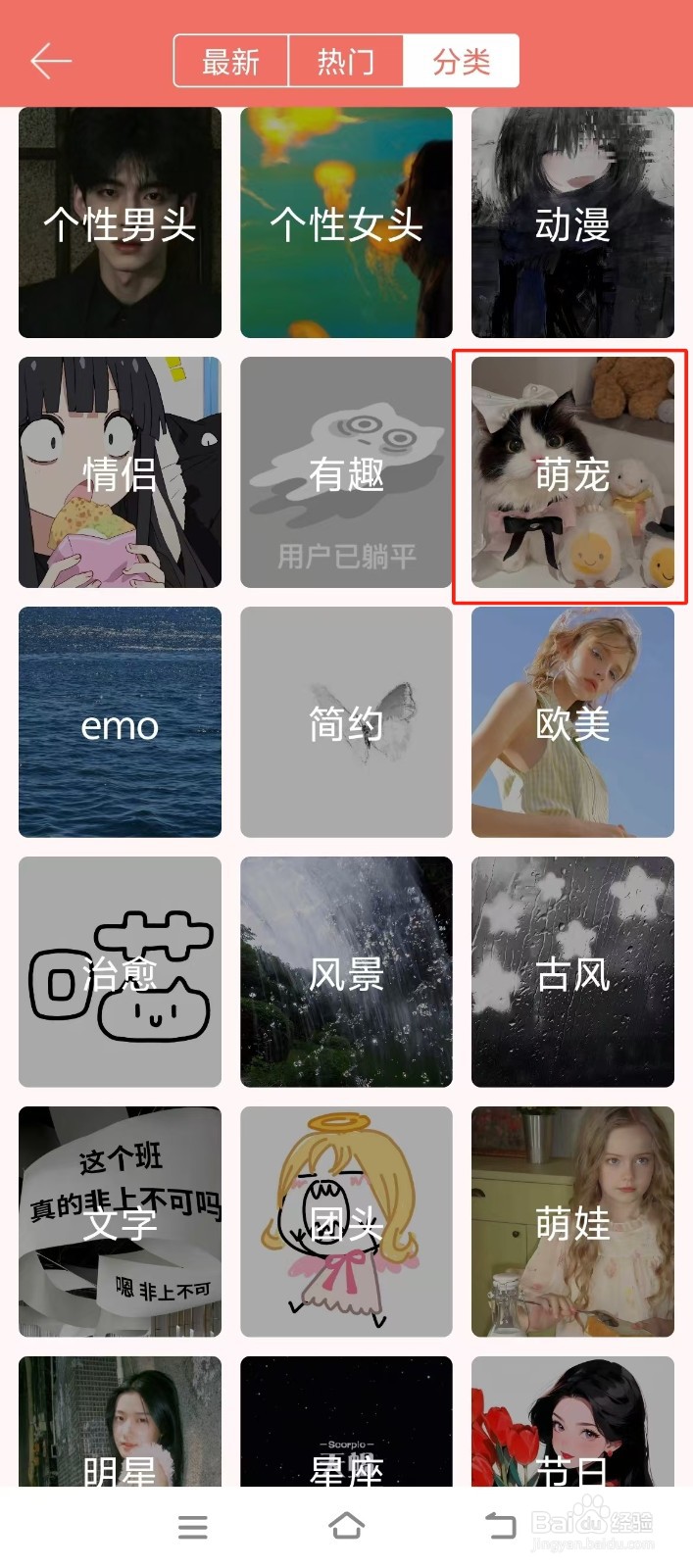 番茄倒数日如何查看【萌宠】个性头像