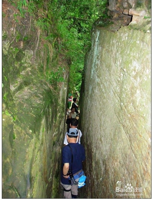 岳阳到张家界自驾游