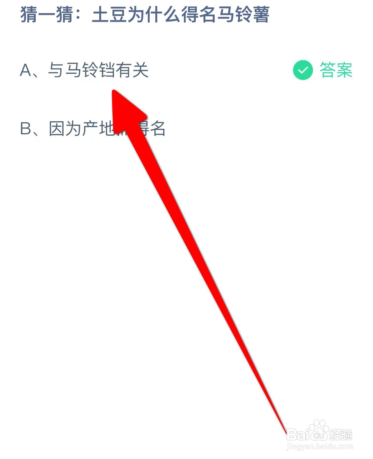 猜一猜:土豆为什么得名马铃薯？蚂蚁庄园