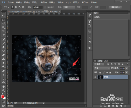 ps遮掩小瑕疵的技巧
