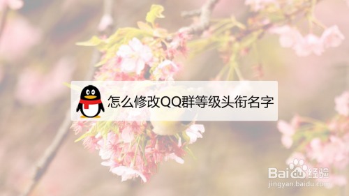 怎么修改QQ群等级头衔名字