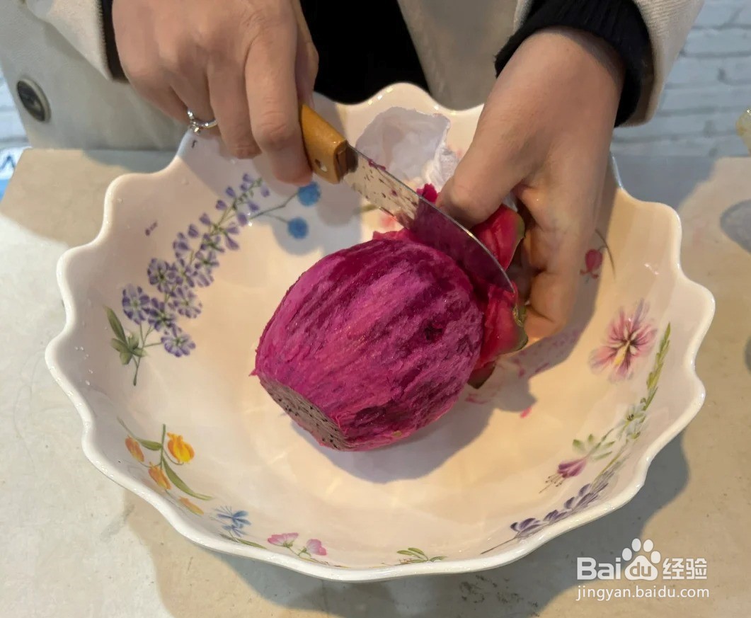 如何种植火龙果盆景