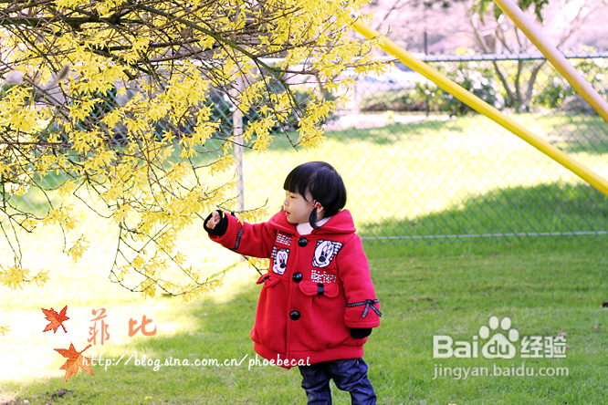 樱花树下的婴花(组图)