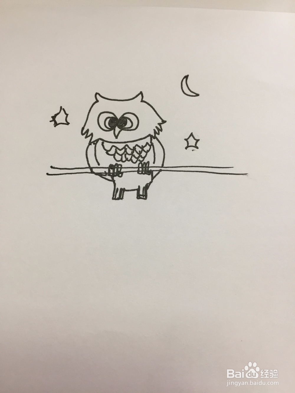 猫头鹰的简单画法