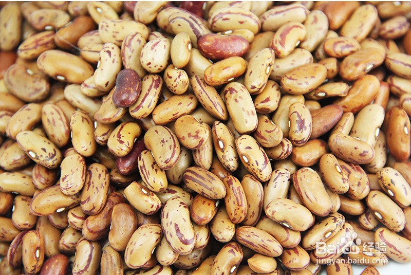 奶花芸豆如何出口