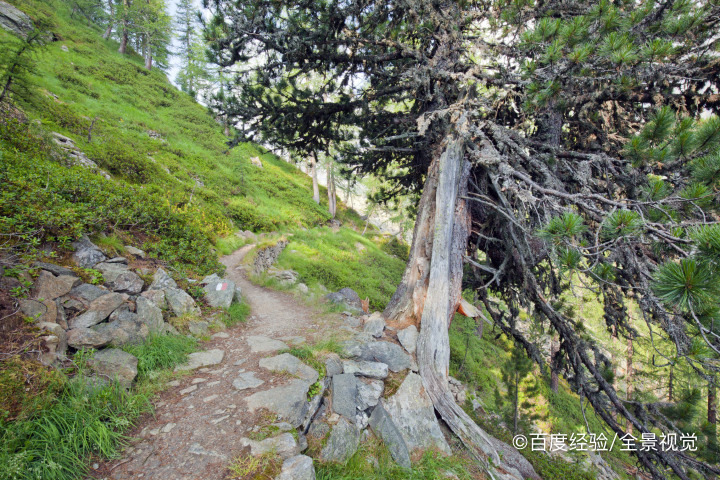 去大山里怎么发朋友圈