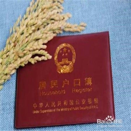 寒假 春节带小孩 出国旅行-签证需要准备的材料