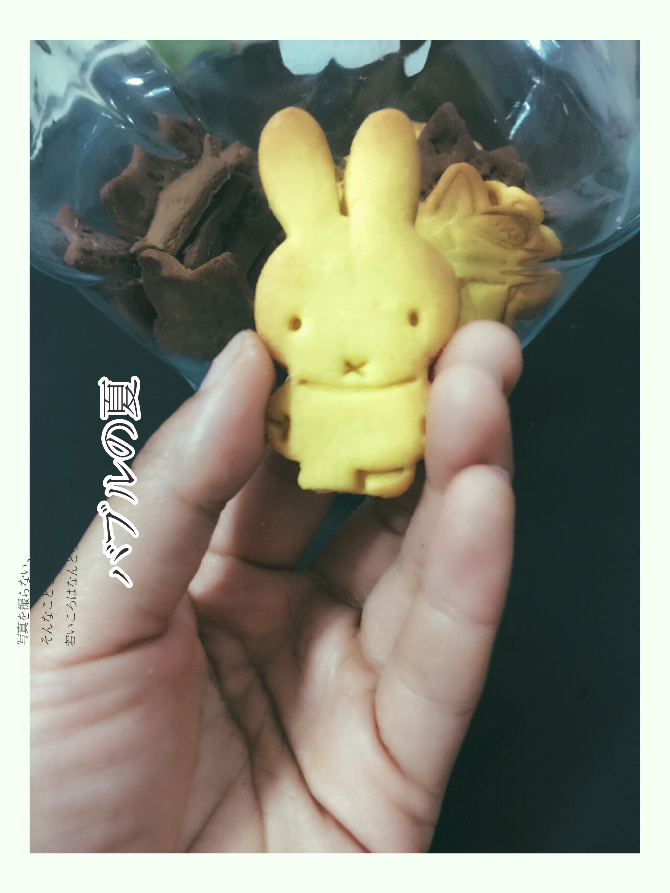 奶香可爱小酥饼干,是小孩的最爱