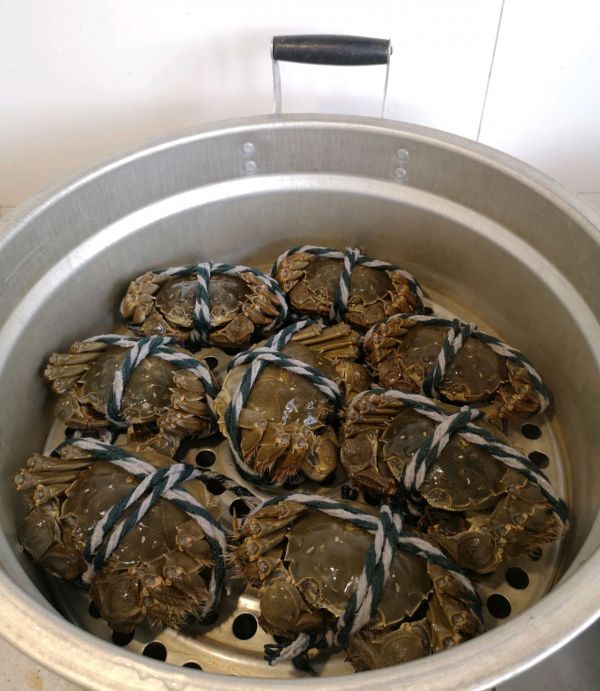 清蒸阳澄湖大闸蟹