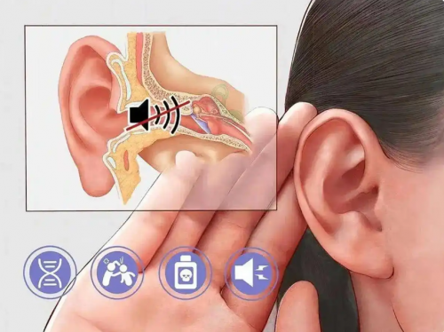 头戴式耳机哪个牌子音质好?2025头戴式耳机排行榜前十名:音质绝了