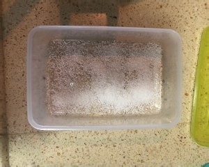 可口的牛奶椰丝