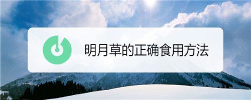 明月草的正确食用方法