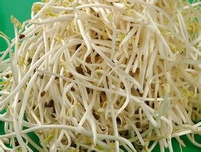 有减肥作用的几种蔬菜