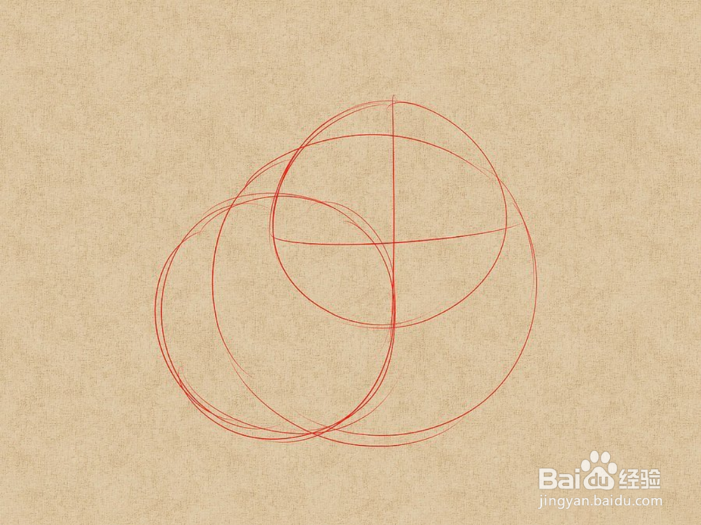 如何快速画姿势不一样的猫呢?