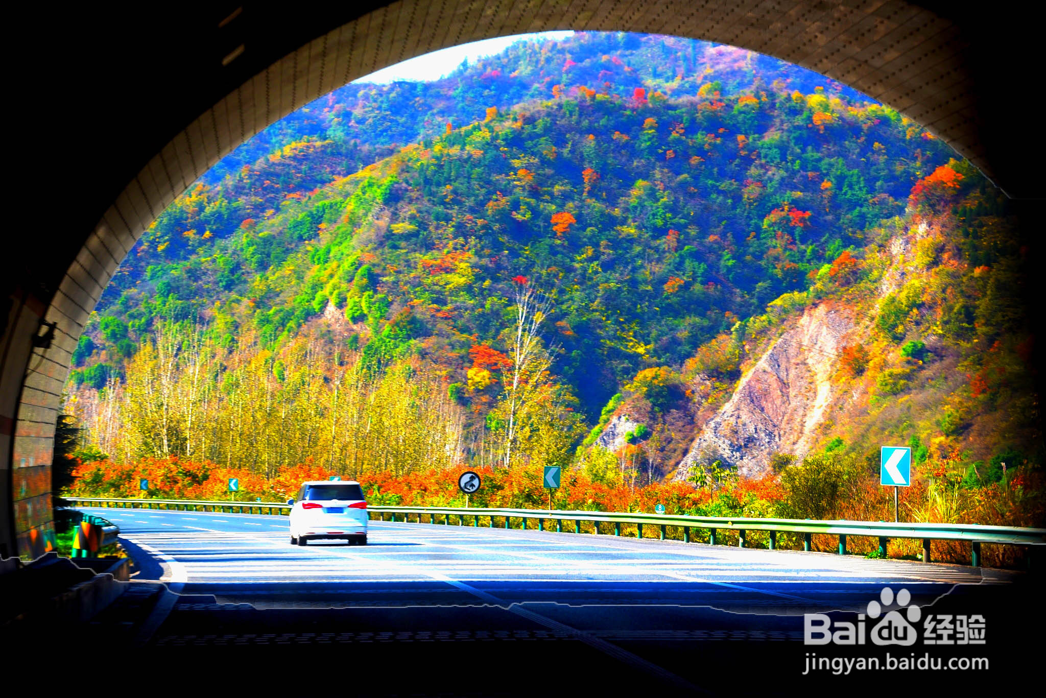 秋天 奔赴一场山长水阔