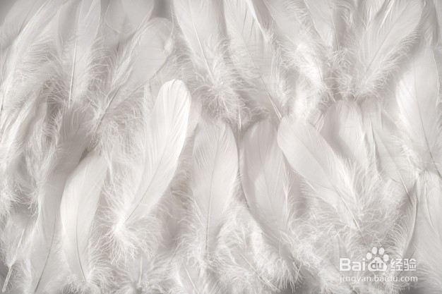 冬天来了，如何给自己选一件质量好的羽绒服？