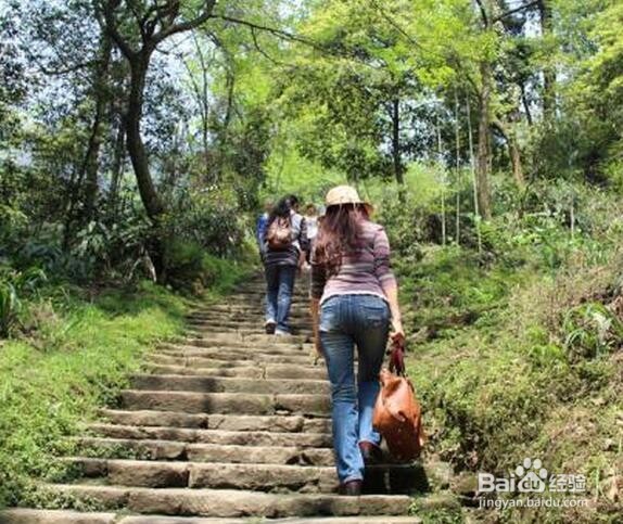 春天做哪些户外活动更有益于健康？