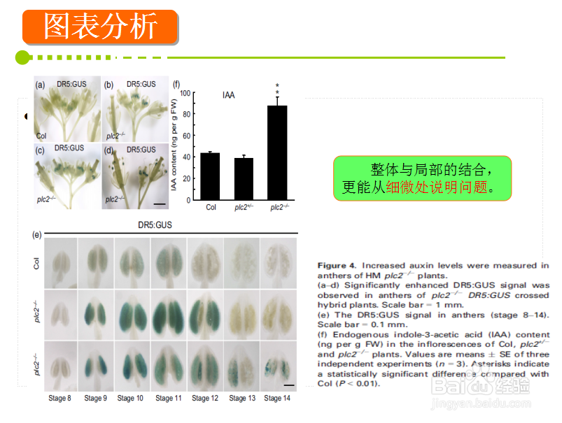 如何撰写科技论文