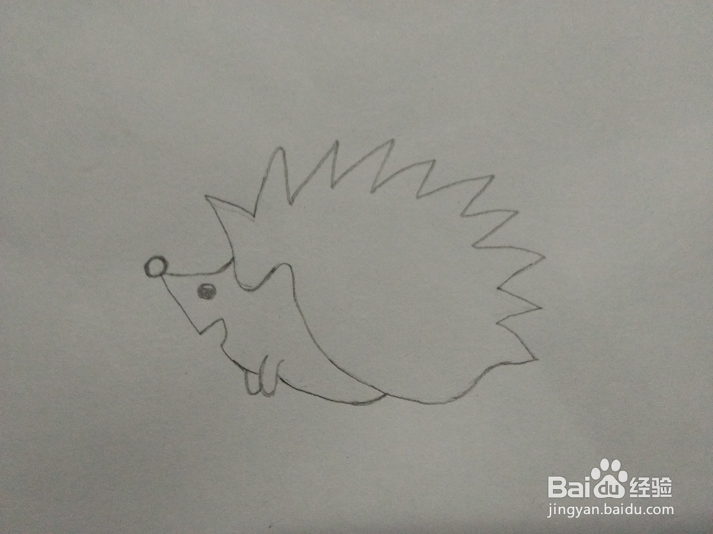 简笔画——怎么画刺猬