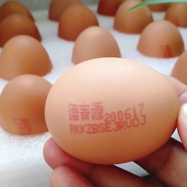 蛋黄芝麻小饼干