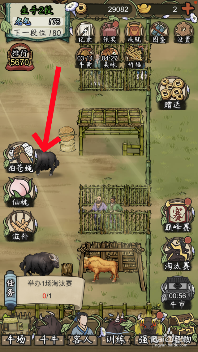 叫我养牛王如何购买一头害怕过年的长毛牛