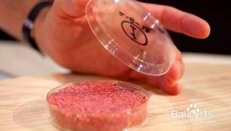 关于人造肉这些你知道吗,人造肉真的可行吗
