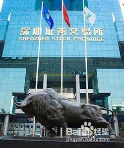怎样网上申购新股