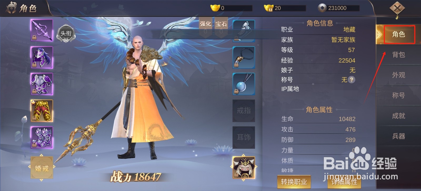 侠隐风云怎样查看地藏的【暴击值】