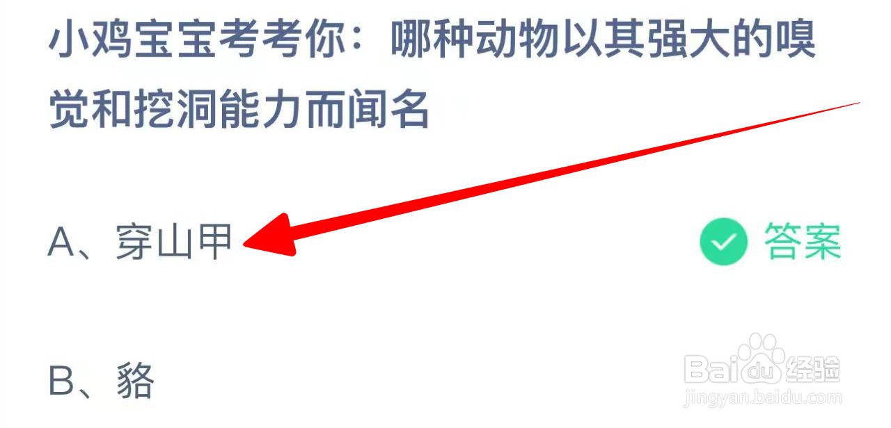 蚂蚁庄园哪种动物以其嗅觉和挖洞能力而闻名