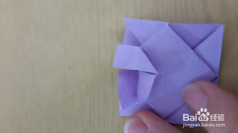 天天教你新手：[1]四叶草花球