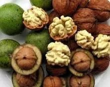 孩子吃这些食物必定聪明,宝妈转起备用