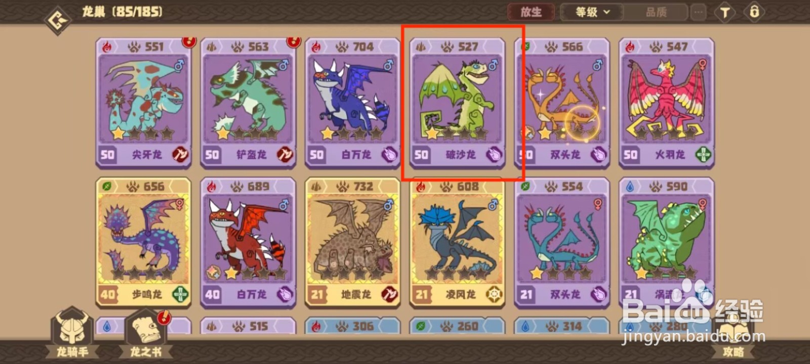 驯龙高手旅程破沙龙如何穿戴装备？