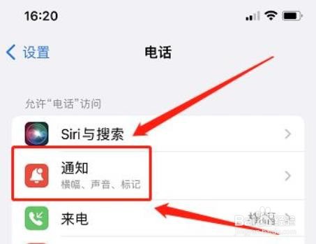 苹果13promax来电没有声音怎么调?