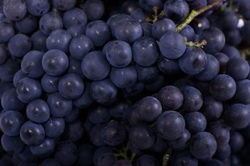 12种黑色食物养出美颜好气色