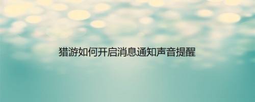 猎游如何开启消息通知声音提醒
