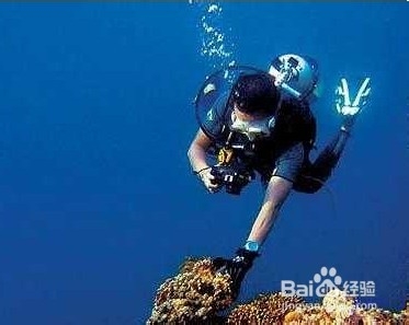 北海市涠洲岛潜水