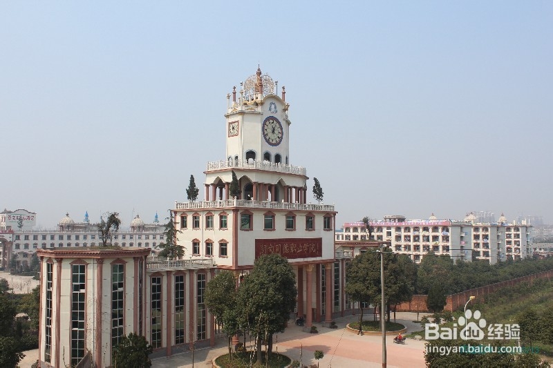 新生指南：大学入学必备条件