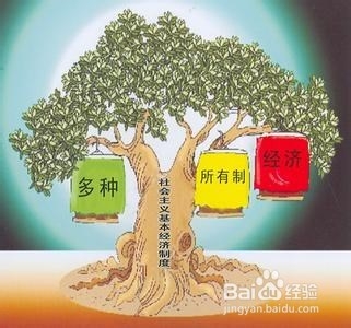 我国的基本经济制度：[1]公有制为主体