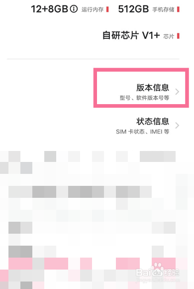 iqooneo5的开发者选项在哪里