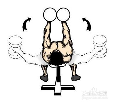 怎样用哑铃练胸肌(收藏版)