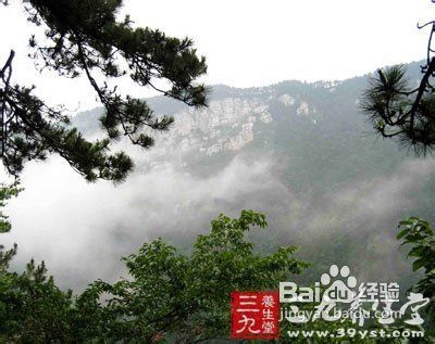 清明节踏青好去处