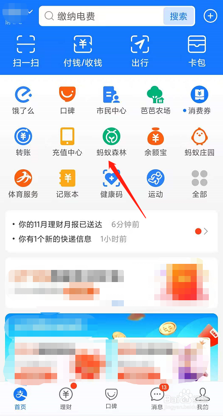 蚂蚁森林怎么种树